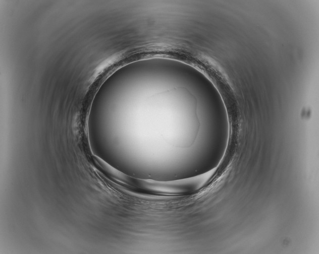 X0000091221210200708091401