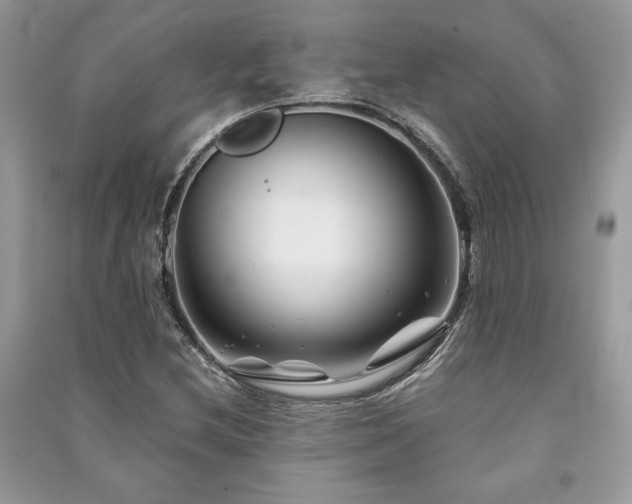 X0000091221212200708091401