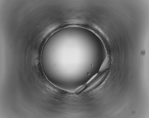 X0000091221213200708091401