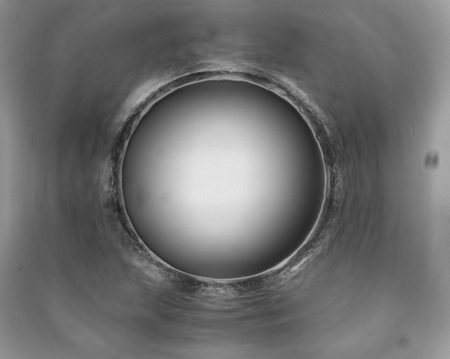 X0000091221215200708091401