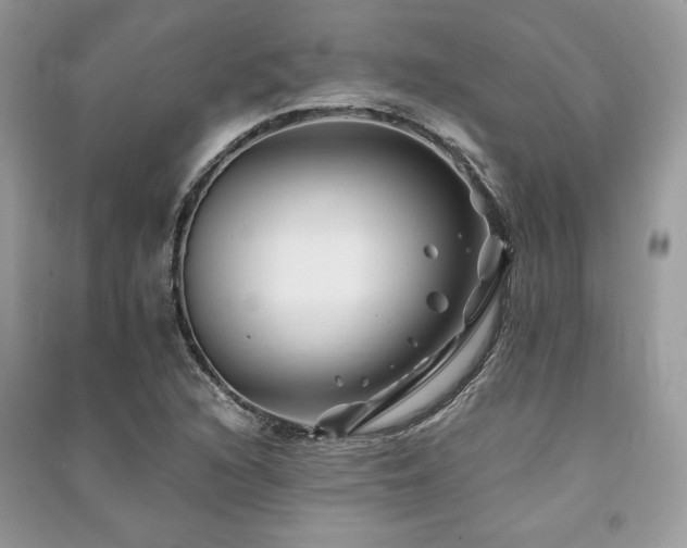 X0000091221216200708091401
