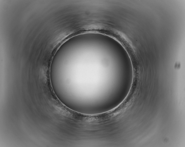X0000091221217200708091401