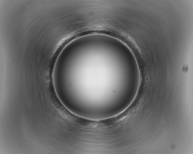 X0000091221218200708091401