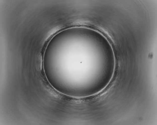 X0000091221219200708091401