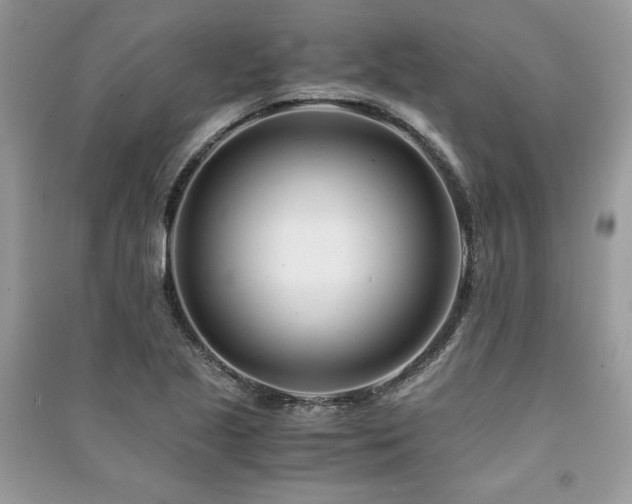 X0000091221221200708091401