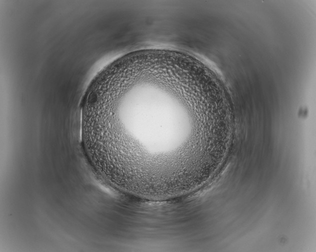 X0000091221223200708091401