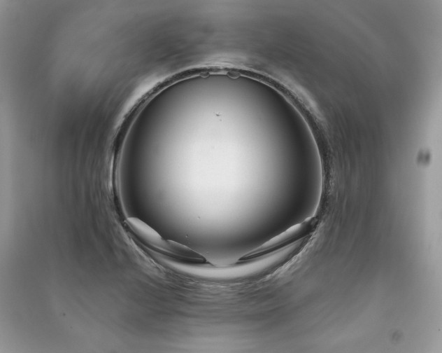 X0000091221224200708091401