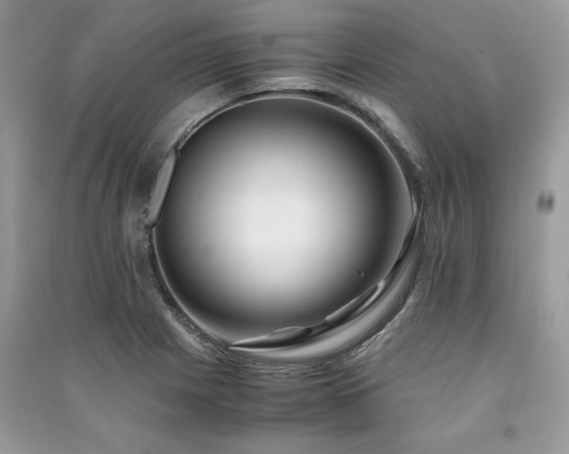 X0000091221225200708091401