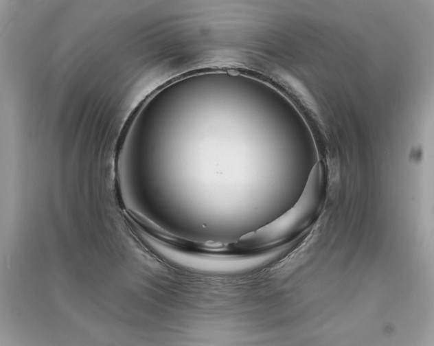 X0000091221226200708091401