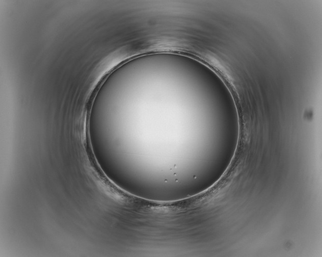 X0000091221227200708091401