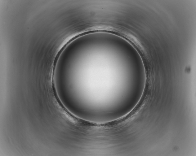 X0000091221228200708091401