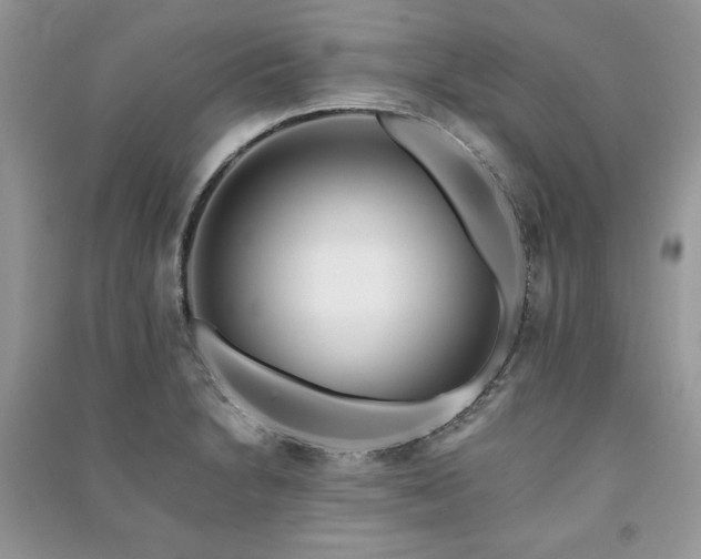 X0000091221230200708091401