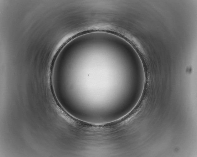 X0000091221232200708091401