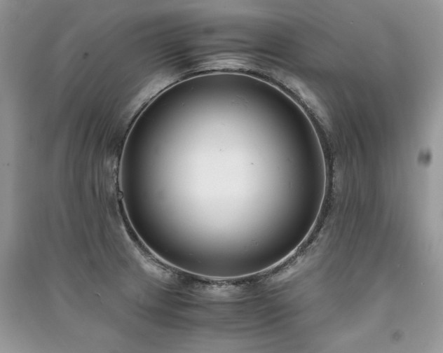 X0000091221233200708091401