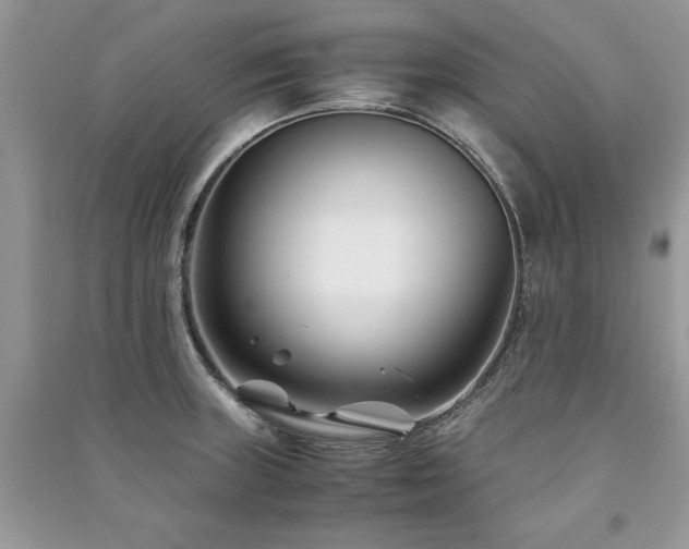 X0000091221235200708091401