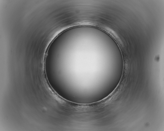 X0000091221236200708091401