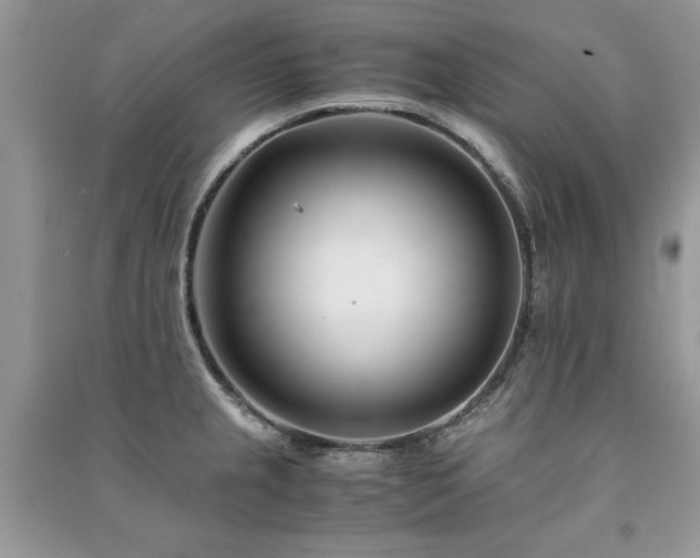 X0000091221237200708091401