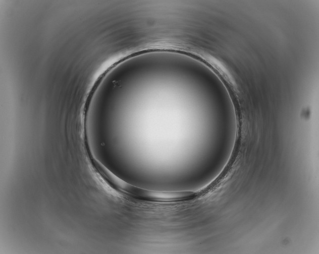X0000091221238200708091401