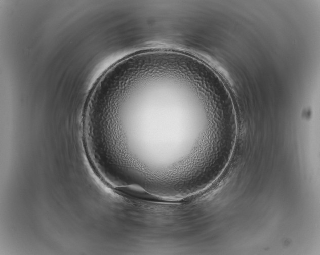 X0000091221239200708091401