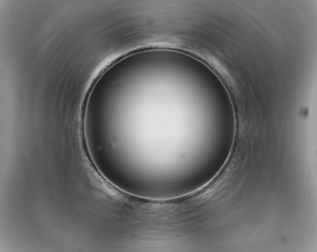 X0000091221240200708091401