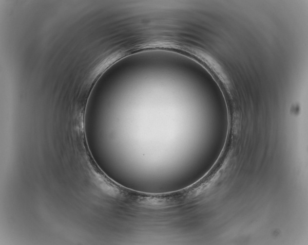 X0000091221241200708091401