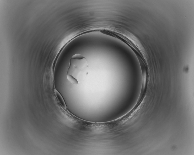 X0000091221242200708091401