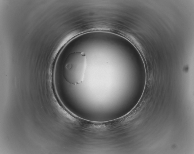 X0000091221243200708091401
