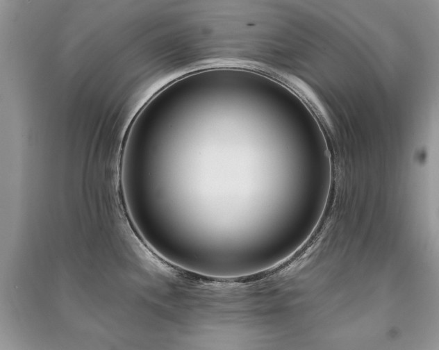 X0000091221244200708091401