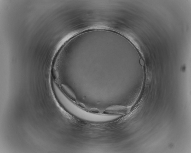 X0000091221245200708091401