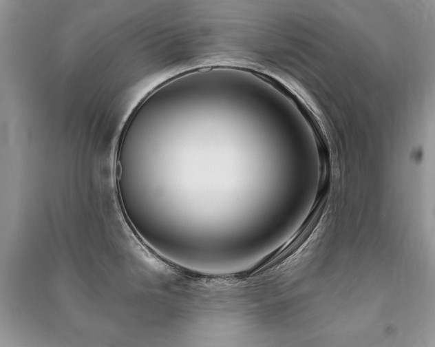 X0000091221246200708091401