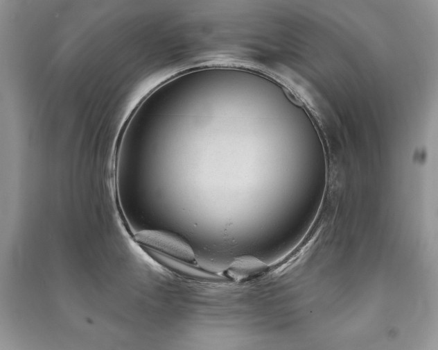 X0000091221247200708091401