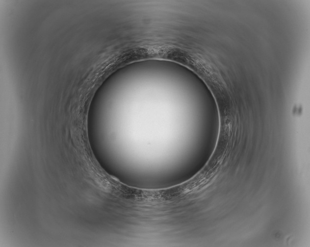 X0000091221249200708091401