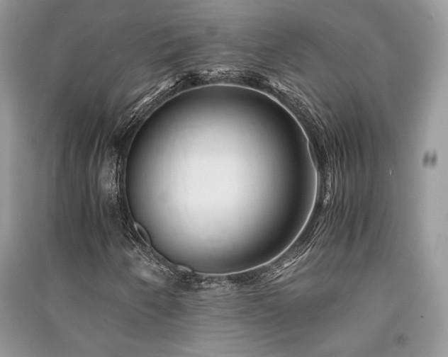 X0000091221250200708091401