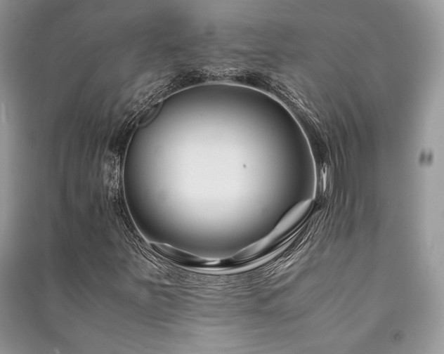 X0000091221251200708091401