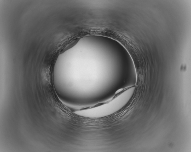 X0000091221252200708091401