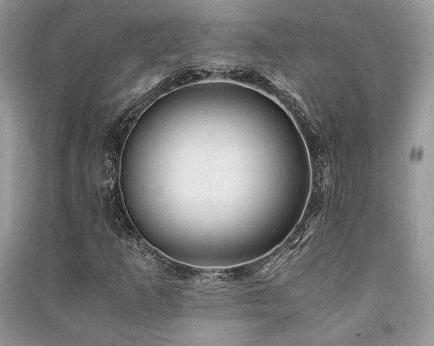 X0000091221253200708091401