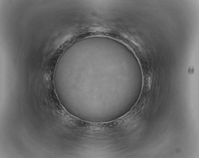 X0000091221254200708091401