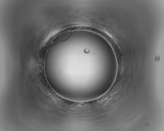 X0000091221255200708091401
