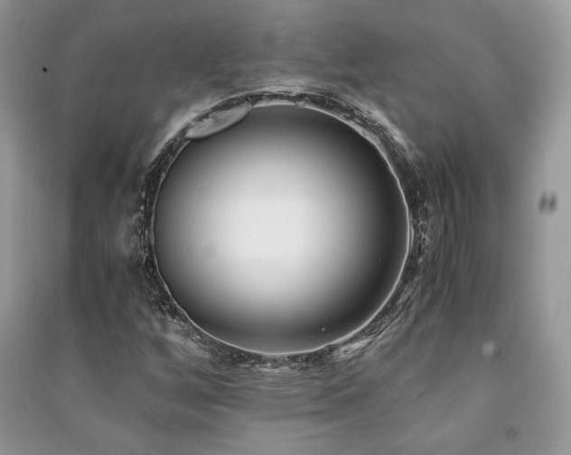 X0000091221256200708091401