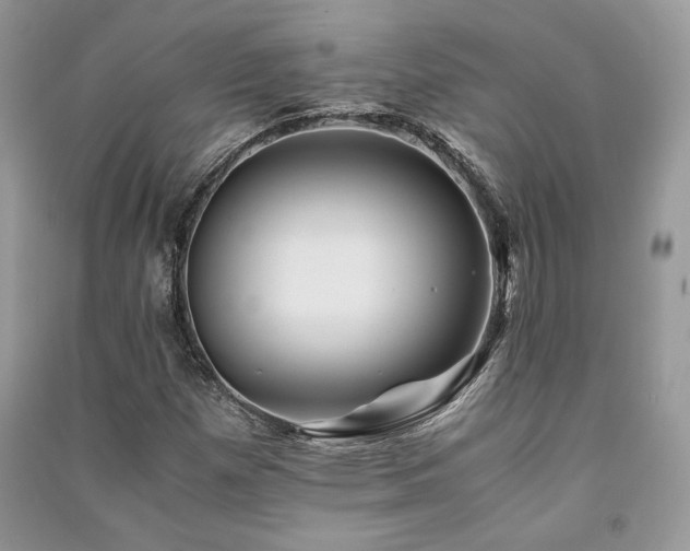 X0000091221257200708091401