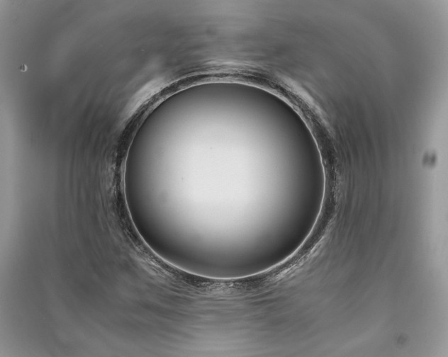 X0000091221259200708091401