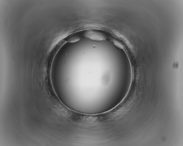 X0000091221261200708091401