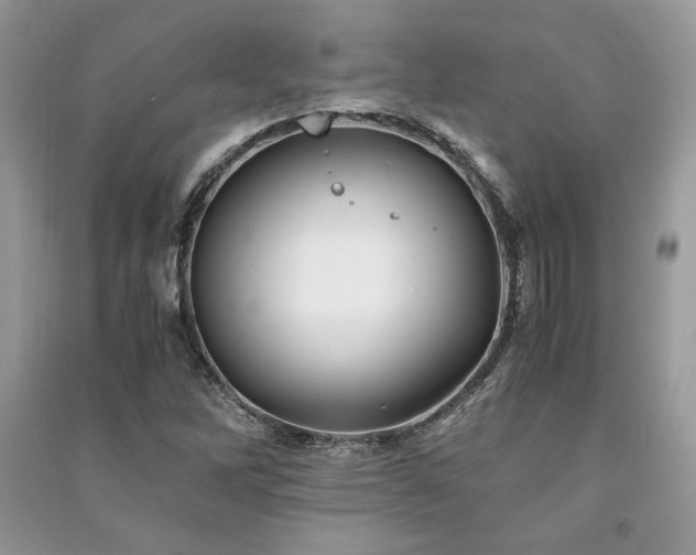 X0000091221262200708091401