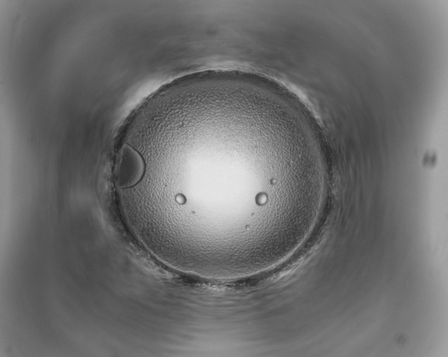 X0000091221263200708091401