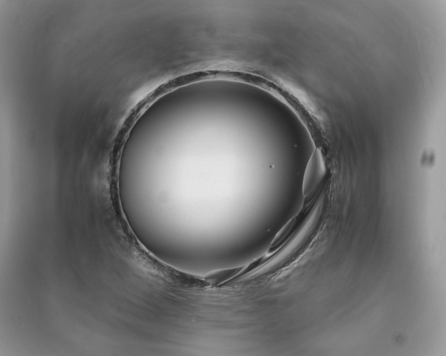 X0000091221264200708091401