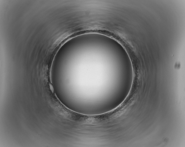 X0000091221265200708091401
