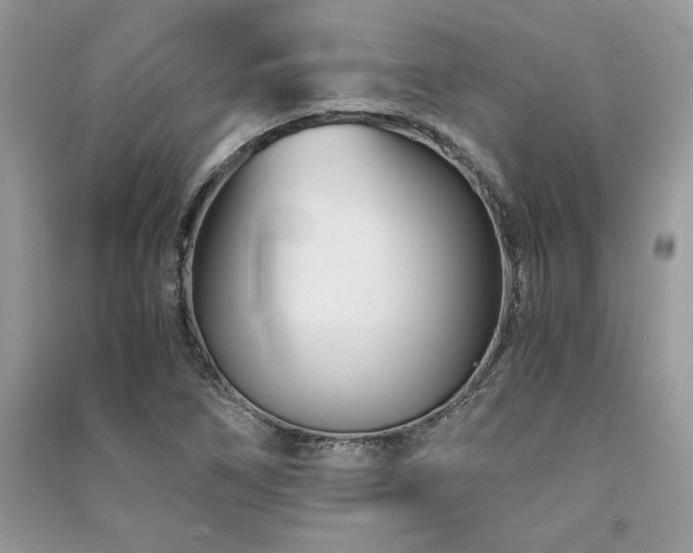 X0000091221266200708091401