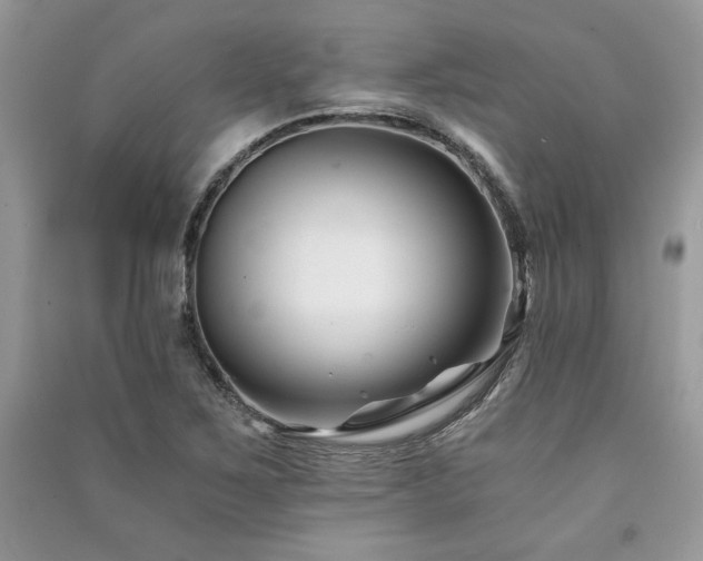 X0000091221267200708091401