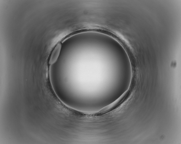X0000091221269200708091401