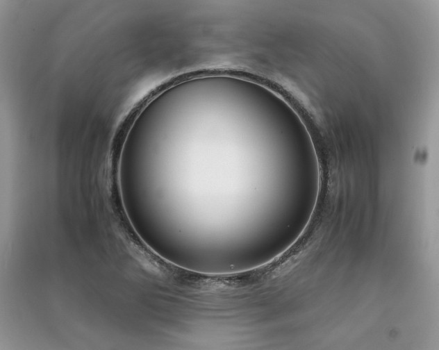 X0000091221270200708091401